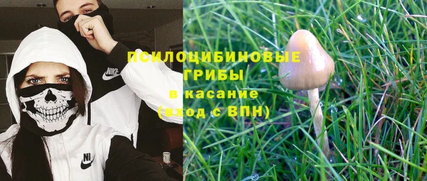 молекула духа Алексин