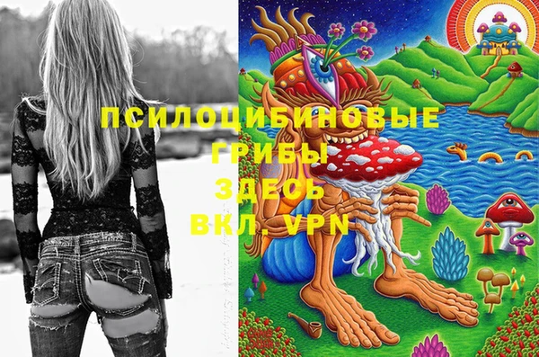 молекула духа Алексин