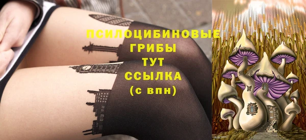 молекула духа Алексин