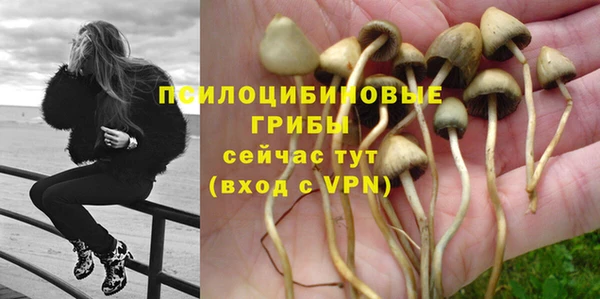 амф Алзамай